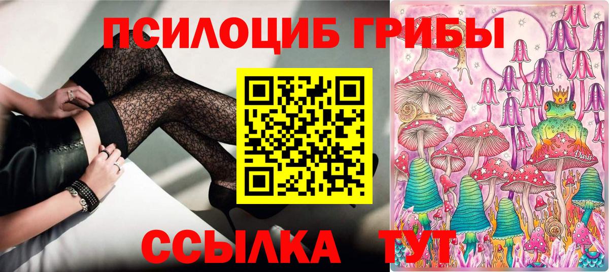 закладка  Галлюциногенные грибы Magic Shrooms  Вход с VPN  Псилоцибиновые грибы GOLDEN TEACHER  Владимир 